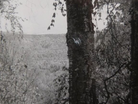 3rd image of L3 1st Chase #2