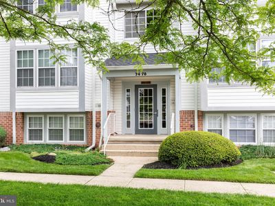 74 Jumpers Cir #238, Baltimore, MD, 21236