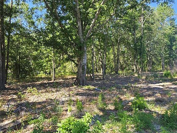 3rd image of 0 SW Mixson Rd