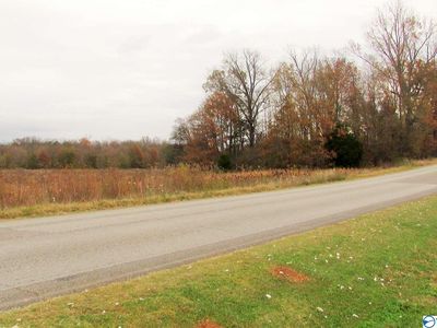 0 County Road 460, Mount Hope, AL, 35651