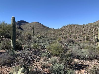 3184 W Mockingbird Ln, Tucson, AZ, 85713