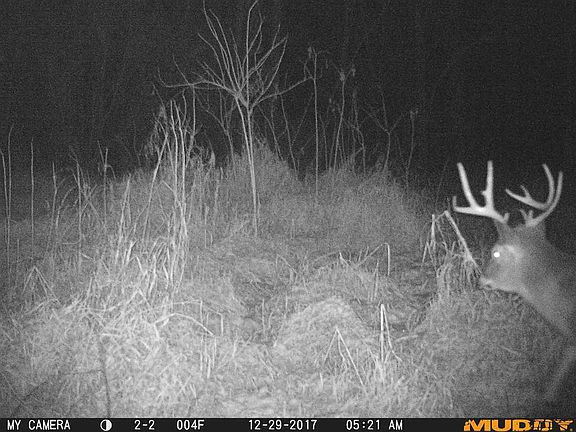 4th image of 32585 County Road 16