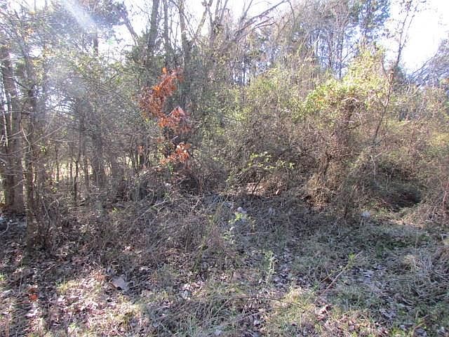 2nd image of 127 Mineral Springs Rd