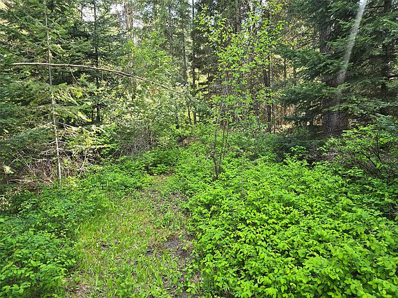 4th image of 769 Lower Seven Mile Creek Rd