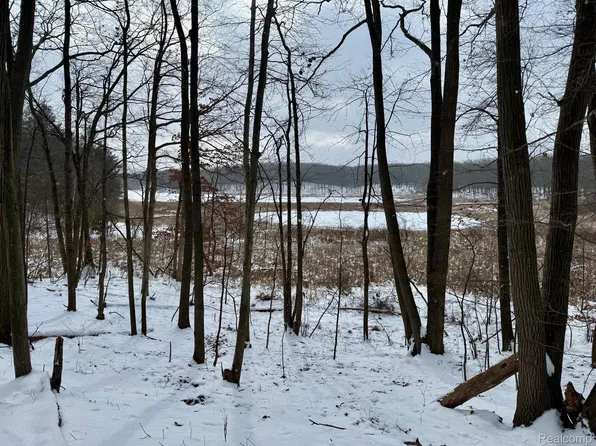 0 Lasher Rd, Dryden, MI 48428