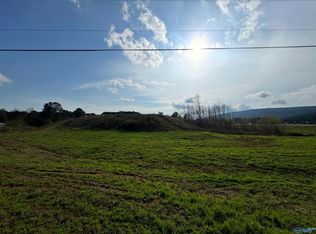 Us Highway 411 S, Leesburg, AL 35983