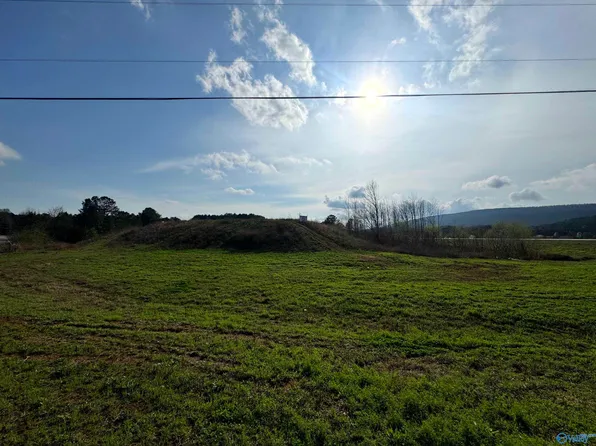 Us Highway 411 S, Leesburg, AL 35983