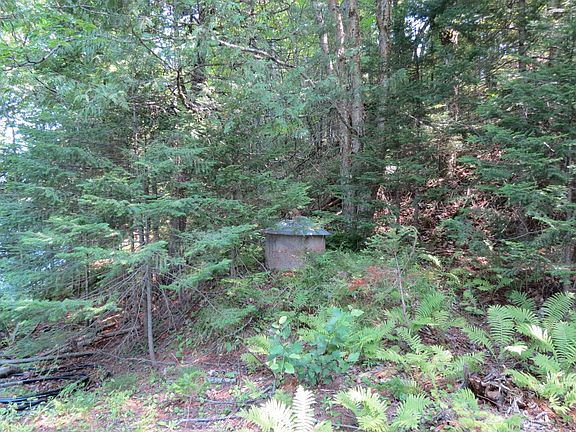 5th image of 5636 CHANEY LAKE RD