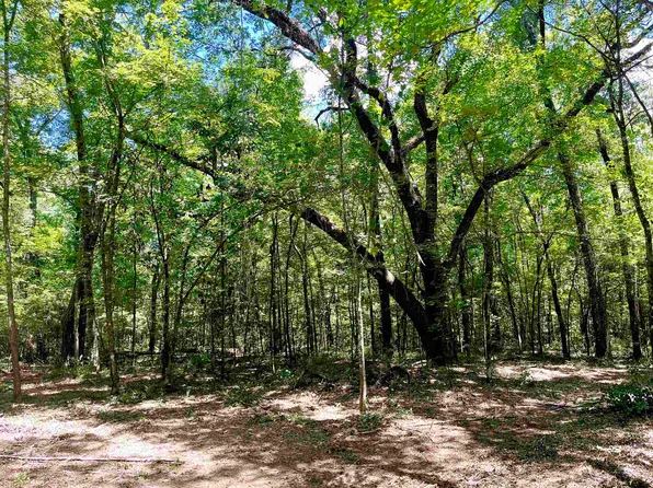 Aucilla Plantation Ct, Greenville, FL 32331