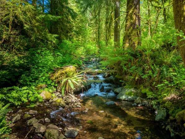 14005 Bauer Rd, Neskowin, OR 97149