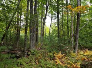 0 Brock School Rd, Buckfield, ME 04220