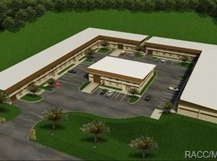 14730 Edward R Noll Dr, Spring Hill, FL 34609