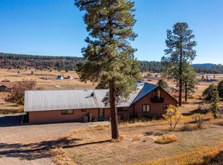 523 Terry Robinson Rd, Pagosa Springs, CO 81147