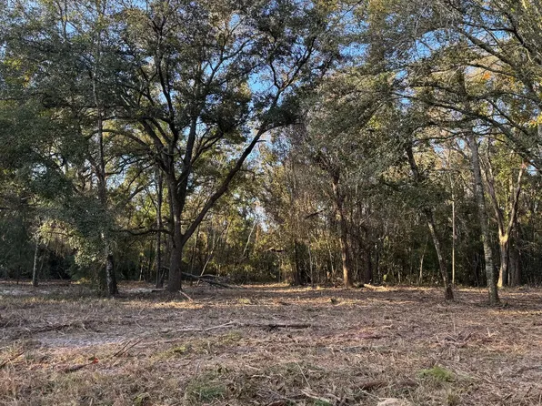 Tbd 129th Rd, Mc Alpin, FL 32062