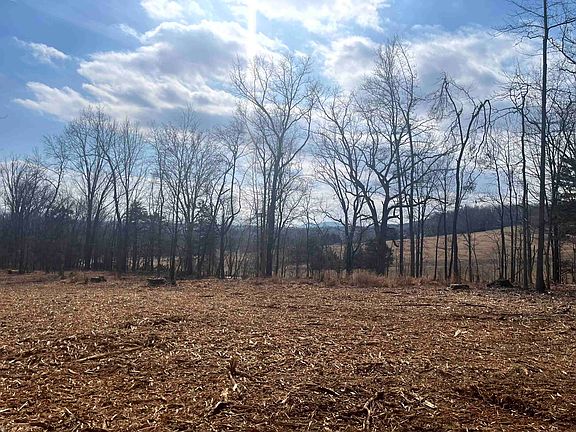 5th image of 330 Bald Rock Rd