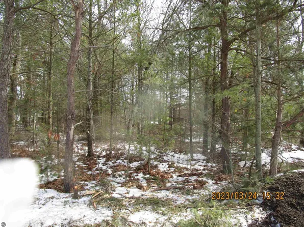 0 Wintergreen St Lot 15, East Tawas, MI 48730