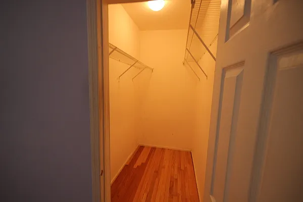 Rented by P Management | media 29