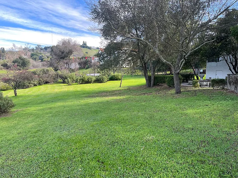3045 Three Springs Ct — Photo 37