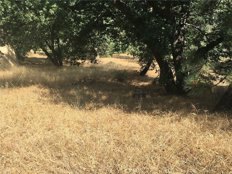 1st image of 30481 Live Oak Dr #118