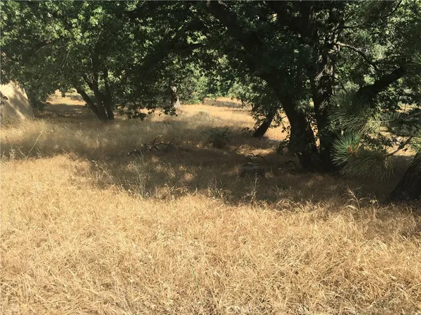 30481 Live Oak Dr #118, Running Springs, CA 92382