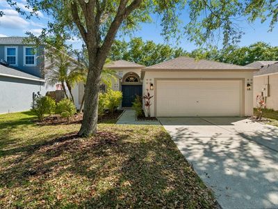 8311 Torrington Ave, Tampa, FL, 33647
