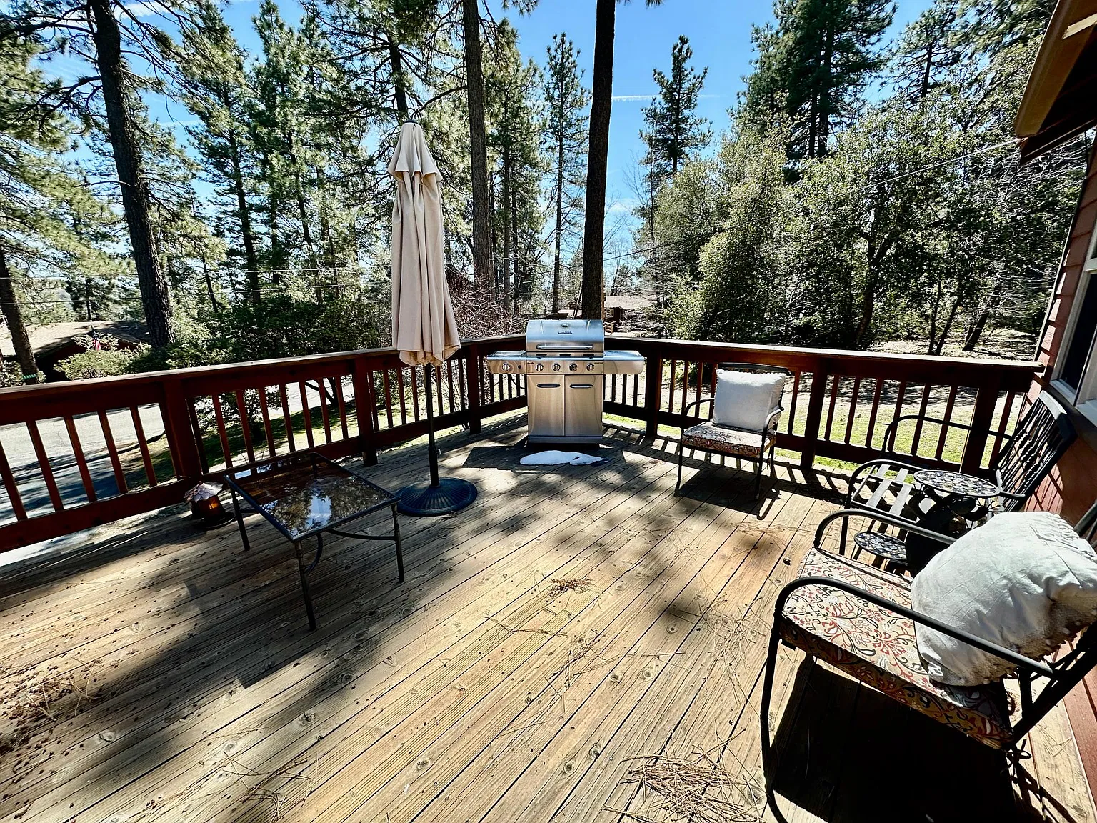1 bed, 530 sqft, $1,600 — Photo 4