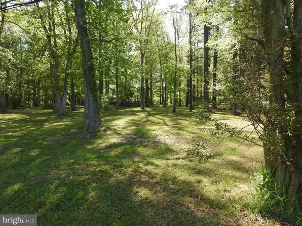 5453 Mount Holly Rd, East New Market, MD 21631