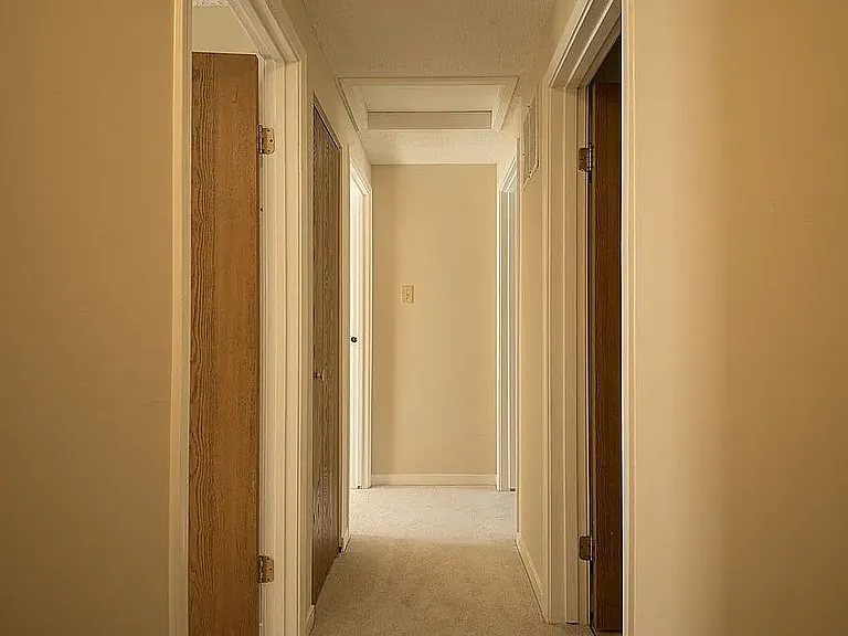 202 Lily Ct — Photo 7