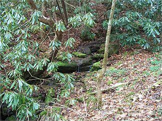 2nd image of Roaring Fork Rd