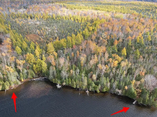 8754 Murphy Lake Rd, Presque Isle, WI 54557