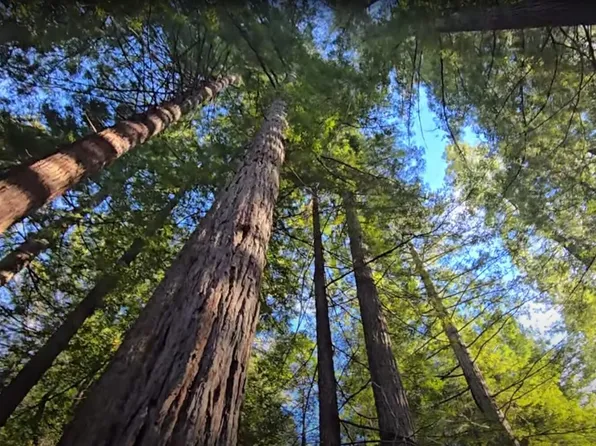 1777 Sprowl Creek Rd, Garberville, CA 95542