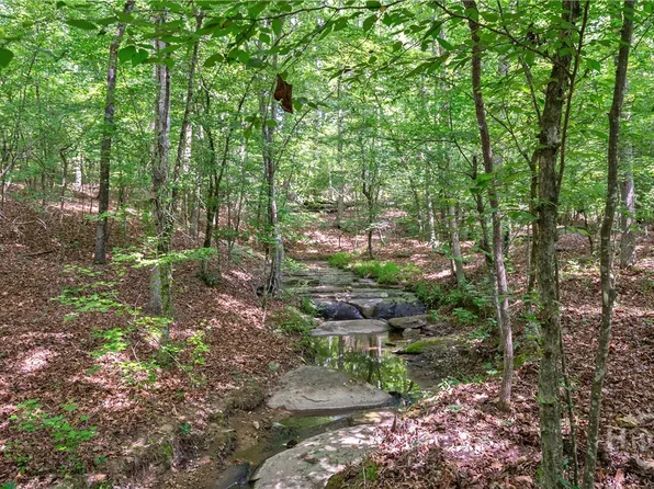 0 Gene Smith Road, Carlton, GA 30627