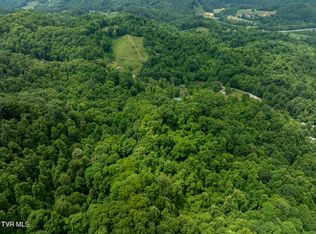 Tbd Whitehead Hollow Rd, Roan Mountain, TN 37687