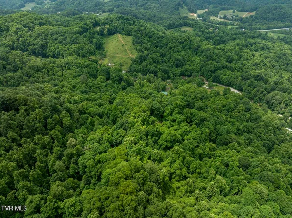 Tbd Whitehead Hollow Rd, Roan Mountain, TN 37687