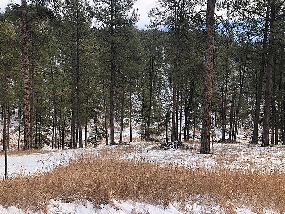 4th image of Lot 7 Placer Place