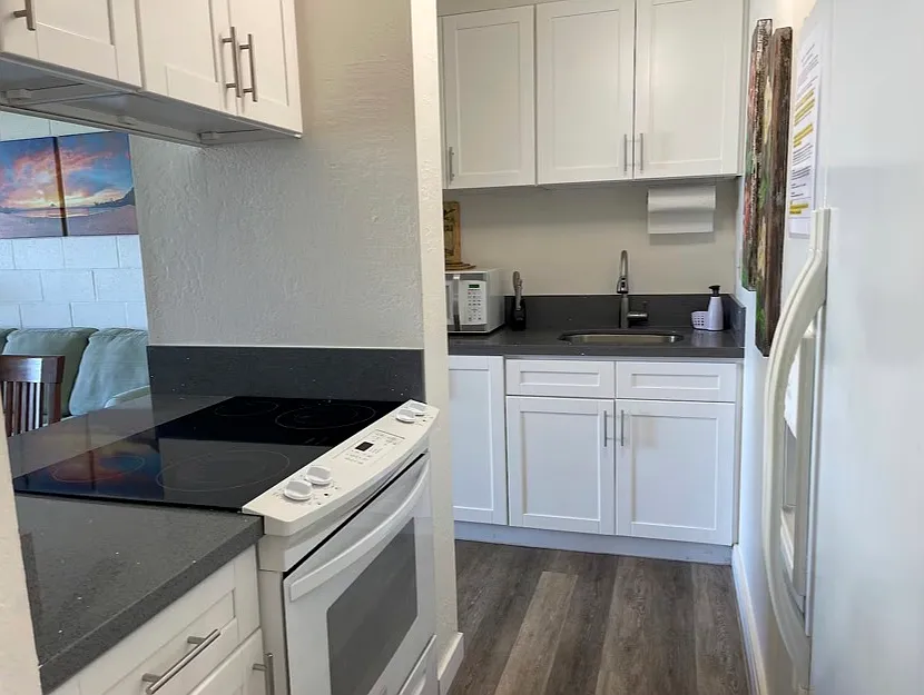 1 bed, 650 sqft, $5,000 — Photo 3