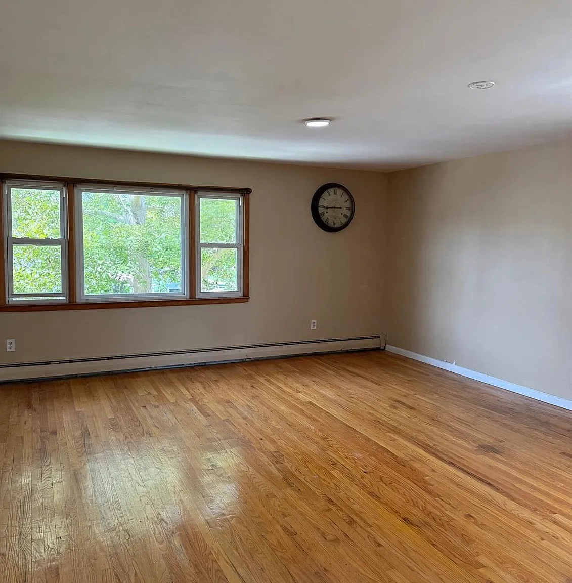 3 bed, 1.0 bath, $2,500 — Photo 4