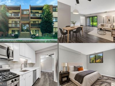 10723 West Dr APT 103, Fairfax, VA, 22030