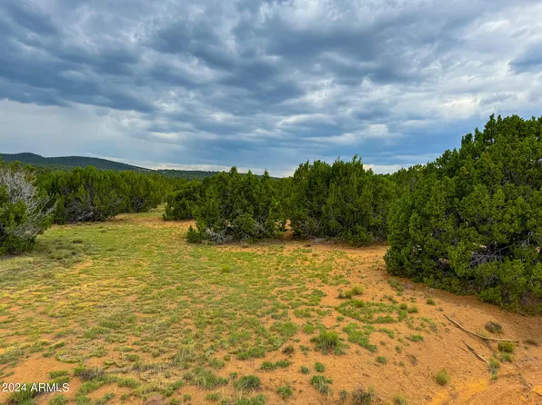 22 COUNTY RD 3048 -- #467, Vernon, AZ 85940