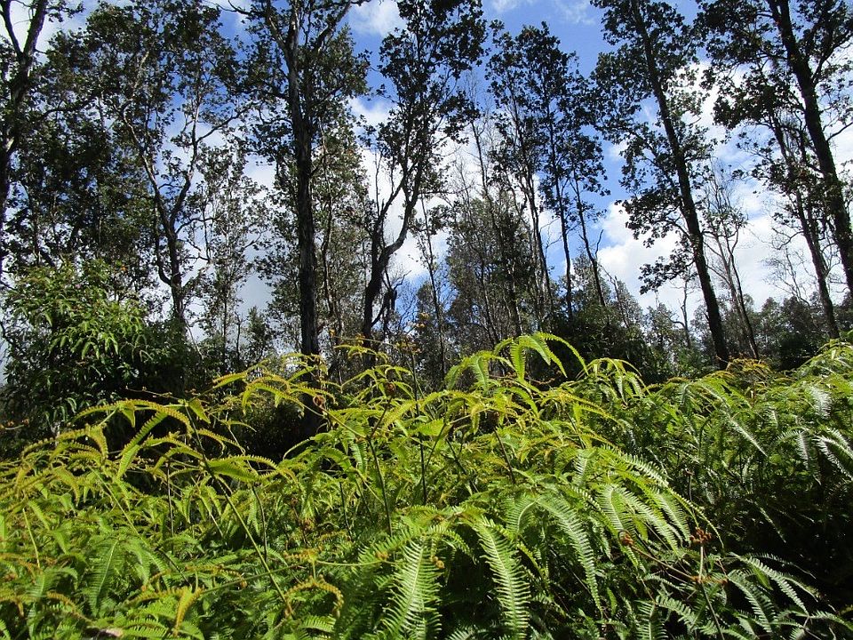 1st image of 12-548 Kauai St Lot 28