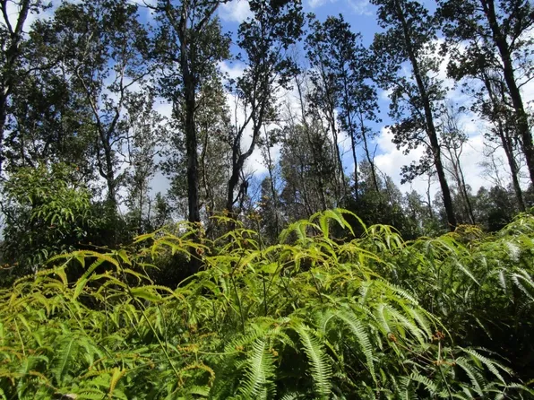 12-548 Kauai St Lot 28, Pahoa, HI 96778