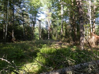 0 Cross Road, Greenbush, ME, 04418