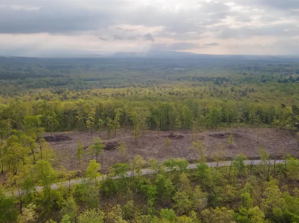 Polk Rd #76, Mena, AR 71953