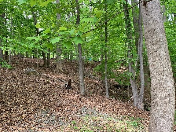 4th image of 25 Long Island Dr