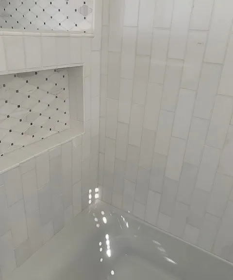 Bathroom shower-tub niche