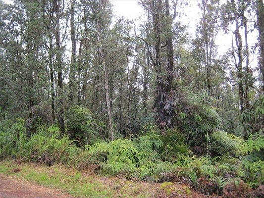 2nd image of Lanai Rd Lot 737