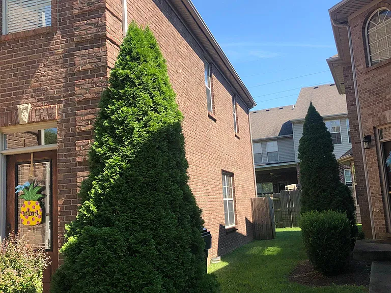 2632 Longleaf Pl — Photo 2