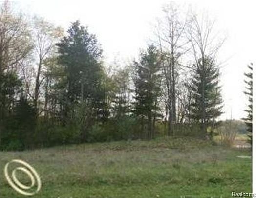 5th image of 10500 Oak Forest Dr