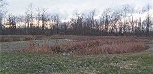 5th image of 6157 Woodford Dr