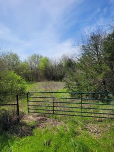 County Road 1076, Celeste, TX, 75423
